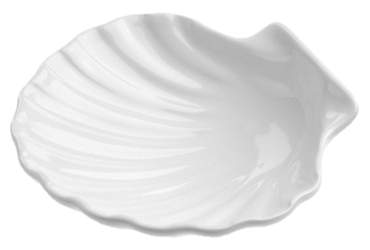 Fc Scallop-Shell 13Cm White