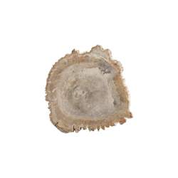 ACCESSORIES Wood Platter Petrified Wood small
