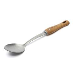 Spoon Stainless Steel Wooden Bbois Handle