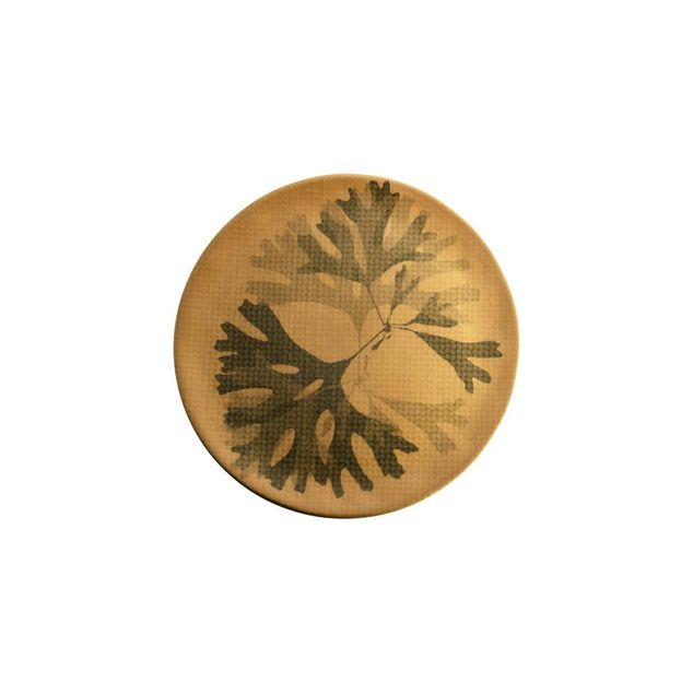 CHEF`S PLATES Seaweed Plate mustard - Ø31cm - H:19cm