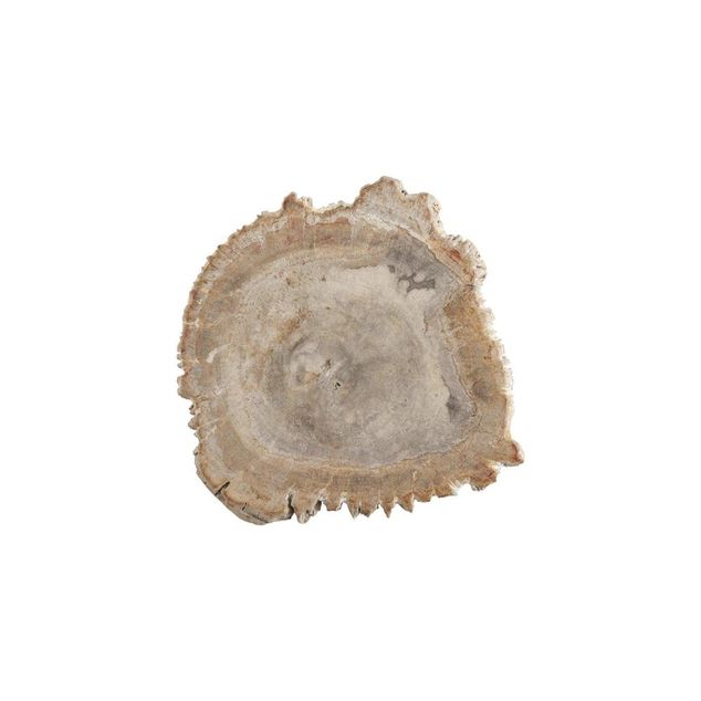 ACCESSORIES Wood Platter Petrified Wood small