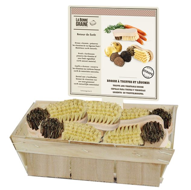 La Bonne Graine CDU w/ 10 wooden vegetable brush, natural bristles