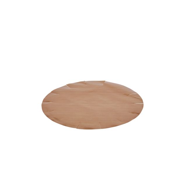 Special Baking Sheet x2 for 2312.24