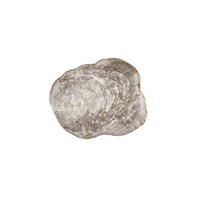 ACCESSORIES Wood Platter Petrified Wood large