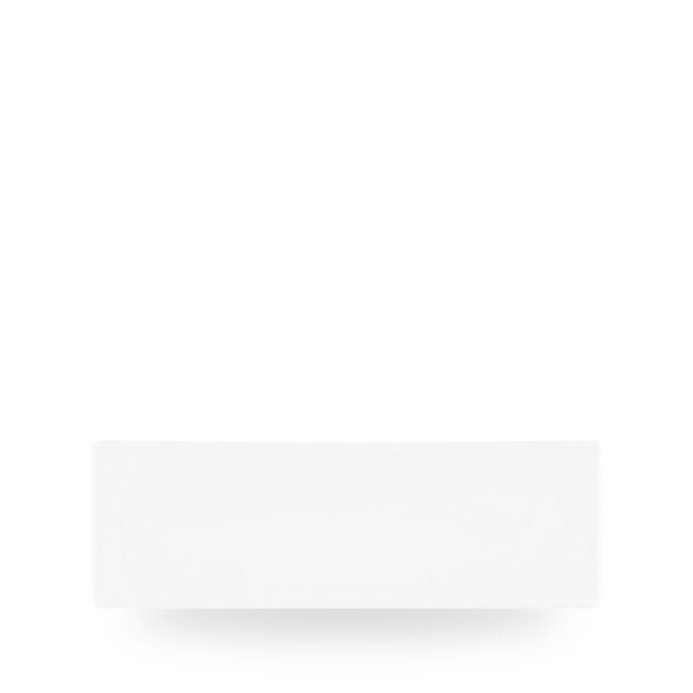 White Oblong Plate 29.5cm x 8.8cm