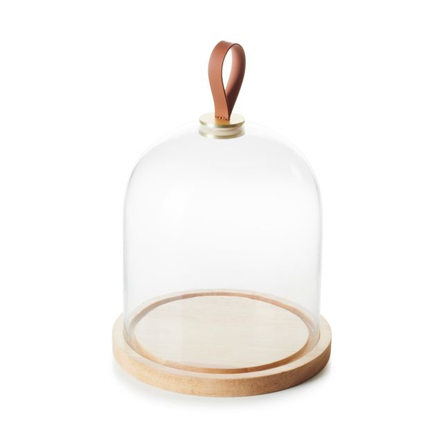 Ibr Cloche & Oak Base 20Cm Glass & Oak