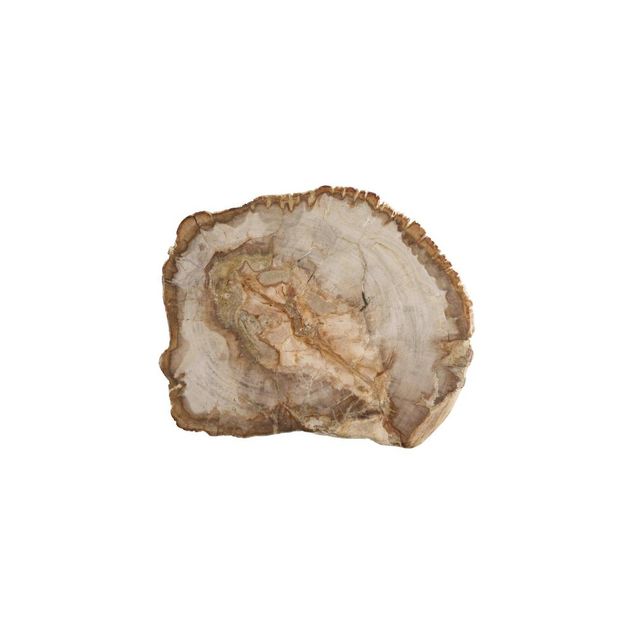ACCESSORIES Wood Platter Petrified Wood medium