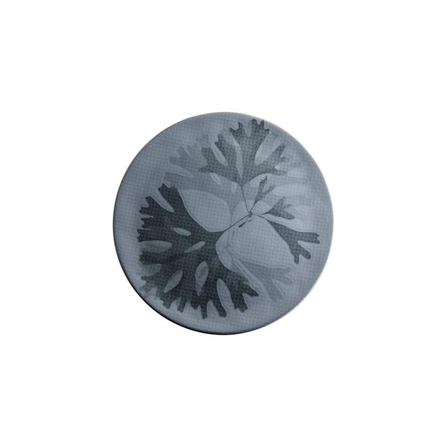 CHEF`S PLATES Seaweed Plate blue - Ø31cm - H:19cm