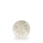 Stone Agate Grey Evolve Coupe Tallerken 16.5Cm
