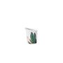 Avarua Creamer 17 cl 200g