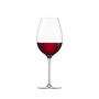 Zwiesel Enoteca / Vinody (0) Chianti