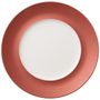 Copper Glow Flat plate (external) 290/180mm