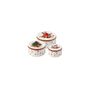 Winter Collage Accessoires Biscuit set 580g