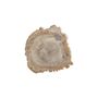 ACCESSORIES Wood Platter Petrified Wood small