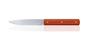 Perceval Table knife 947 polyacetal RG orange handle golden screws