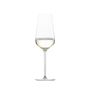 Fusion Champagne (77) 378ml