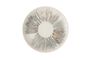 Lyra Pink Evolve Coupe Plate 28.8cm
