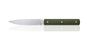 Perceval Table knife 947 polyacetal dark green handle golden screws