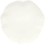 Biossom Hotel Flat Plate 27 Cm