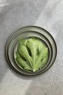 CONTRE JOUR Plate 30cm Olive green