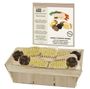 La Bonne Graine CDU w/ 10 wooden vegetable brush, natural bristles