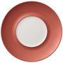 Copper Glow Flat plate (external) 290/145mm