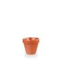 Paprika Plant Pot 10.4 X 10.9Cm