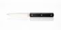 Perceval Table knife 947 polyacetal black handle golden screws