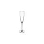 Maxima Champagne flute 76x76x265mm