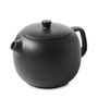 EQUINOXE Teapot 75Cl Cast iron style