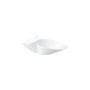 NewWave Eye-catcher double bowl 490x270x170mm (1)