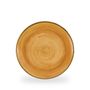 Stonecast Tangerine Evolve Coupe Plate 26cm