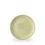 Stonecast Raw Green Evolve Coupe Plate 21.7cm