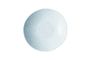 Stonecast Duck Egg Natural Organic Coupe Bowl * 25cm H:5cm 150cl