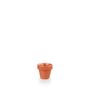 Paprika Plant Pot 6.7 X 6.9Cm