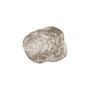 ACCESSORIES Wood Platter Petrified Wood large