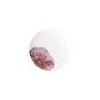 Rose Garden Flat Plate Coupe 28,5 cm 835g