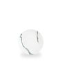 Inked Tide Accents Green / Evolve Coupe Plate  / 16.5cm