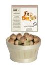 La Bonne Graine CDU w/ 22 wooden mushroom brush natural bristles