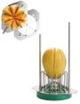 Louis Tellier St/st melon cutter - 6/8 pieces