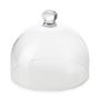 Ibr Cloche 21Cm Polycarbonate