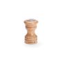 Salt Dispenser Paso Natural 10 Cm