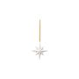 Winter Glow Ornament star 40g