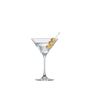 Bar Special (86) Martini 166Ml