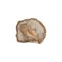 ACCESSORIES Wood Platter Petrified Wood medium