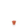 Paprika Plant Pot 5.5 X 5.8Cm