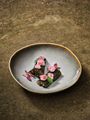 Salema Plate deep coupe 23cm (4)