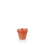 Paprika Plant Pot 9 X 9.7Cm