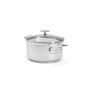 St/Steel Stewpan Milady Wit Lid ?20 Cm