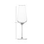 Fusion Champagne (77) 378ml